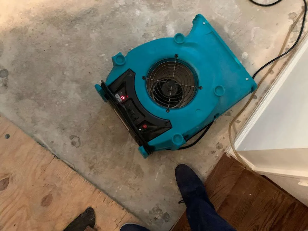 Air mover drying subfloor during Leak Detection & Repair in Highland Heights
